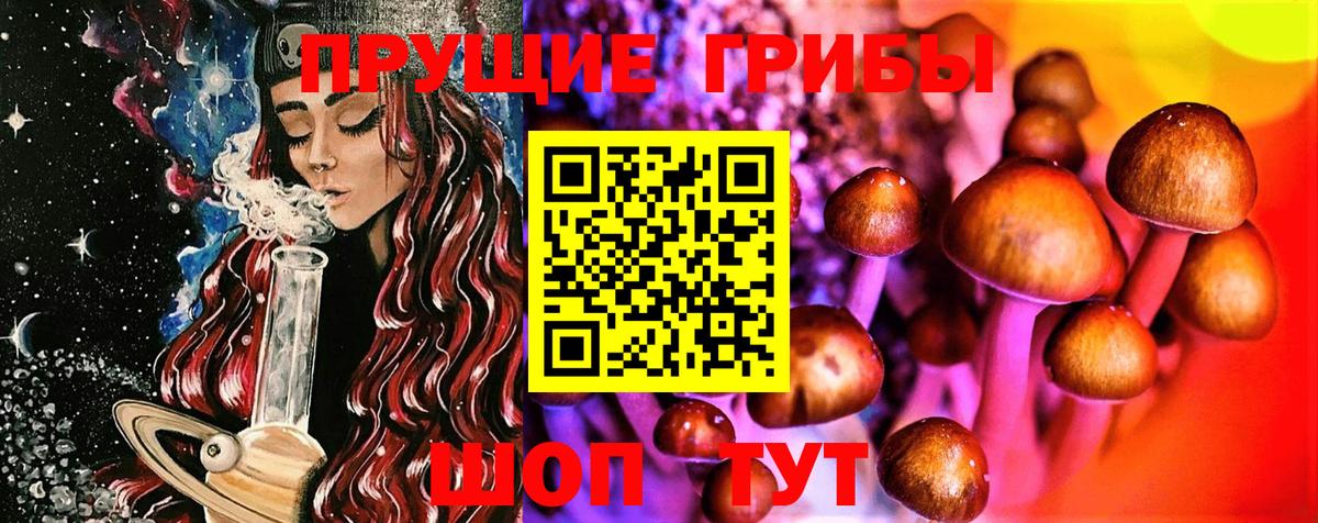 Псилоцибиновые грибы Psilocybe  Псилоцибиновые грибы прущие грибы  Сызрань  Вход с VPN 